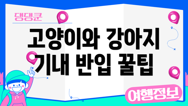 고양이와 강아지 기내 반입 꿀팁