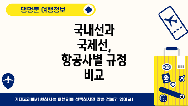 국내선과 국제선, 항공사별 규정 비교