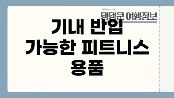기내 반입 가능한 피트니스 용품