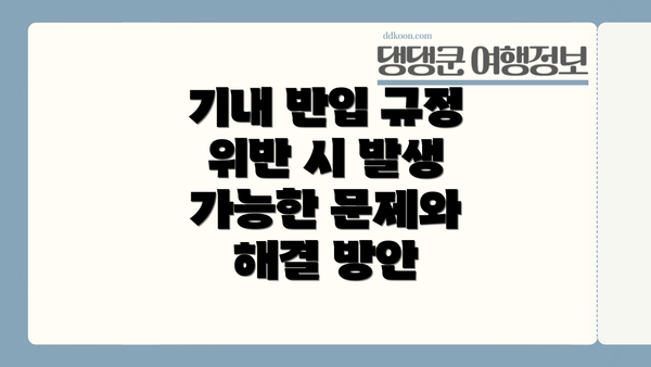 기내 반입 규정 위반 시 발생 가능한 문제와 해결 방안