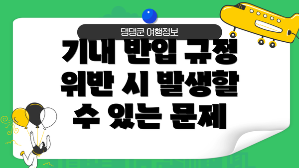 기내 반입 규정 위반 시 발생할 수 있는 문제