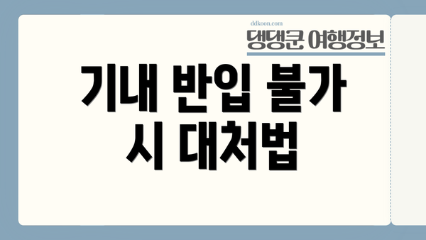 기내 반입 불가 시 대처법