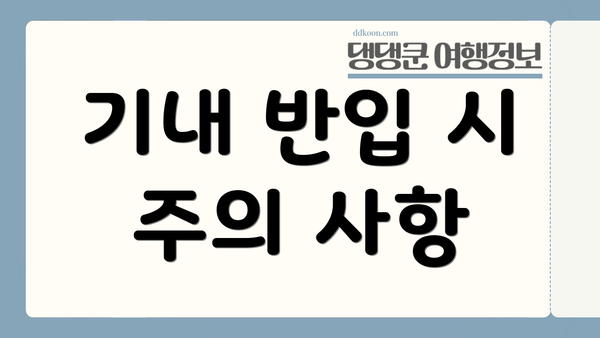 기내 반입 시 주의 사항