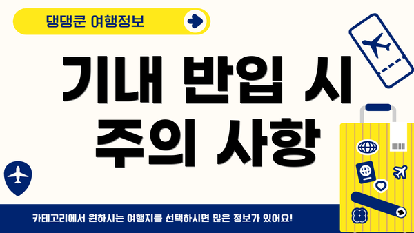기내 반입 시 주의 사항