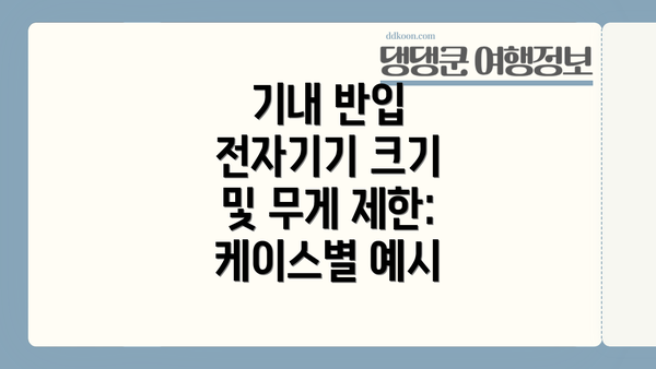 기내 반입 전자기기 크기 및 무게 제한: 케이스별 예시