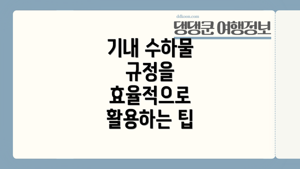 기내 수하물 규정을 효율적으로 활용하는 팁