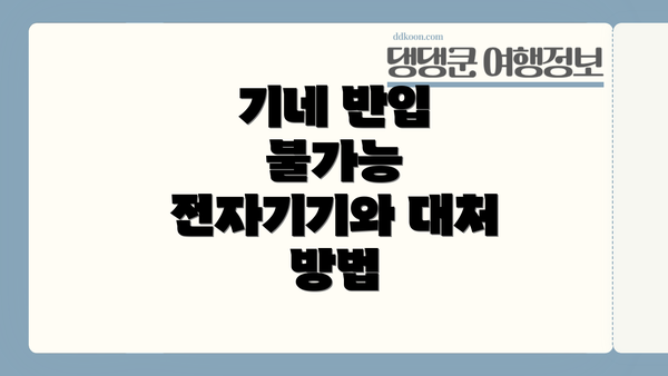 기네 반입 불가능 전자기기와 대처 방법
