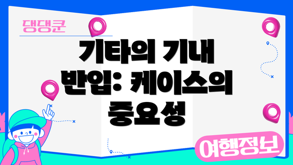 기타의 기내 반입: 케이스의 중요성