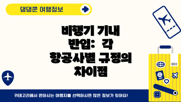 비행기 기내 반입:  각 항공사별 규정의 차이점