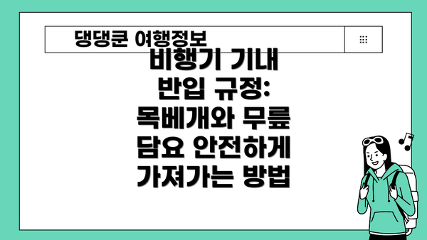 비행기 기내 반입 규정: 목베개와 무릎 담요 안전하게 가져가는 방법