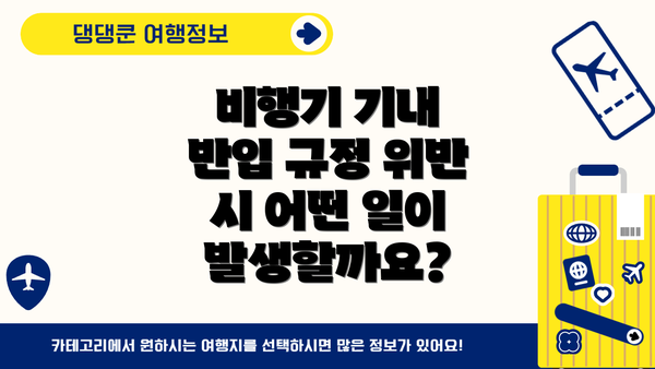 비행기 기내 반입 규정 위반 시 어떤 일이 발생할까요?