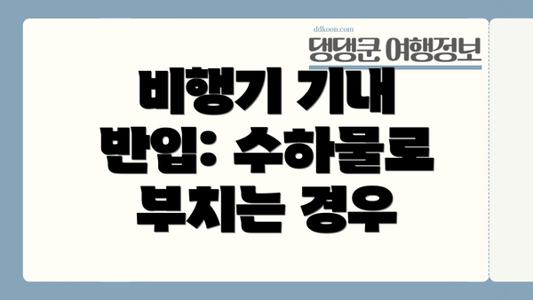 비행기 기내 반입: 수하물로 부치는 경우