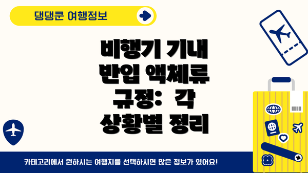 비행기 기내 반입 액체류 규정:  각 상황별 정리