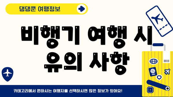 비행기 여행 시 유의 사항