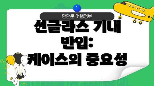 선글라스 기내 반입:  케이스의 중요성