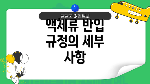 액체류 반입 규정의 세부 사항
