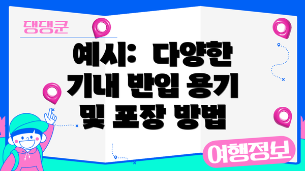 예시:  다양한 기내 반입 용기 및 포장 방법
