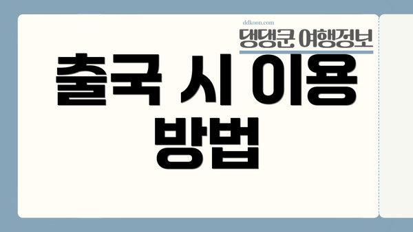 출국 시 이용 방법