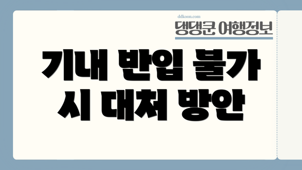 기내 반입 불가 시 대처 방안