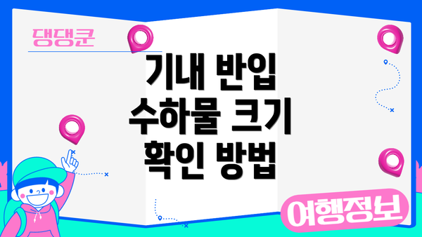 기내 반입 수하물 크기 확인 방법