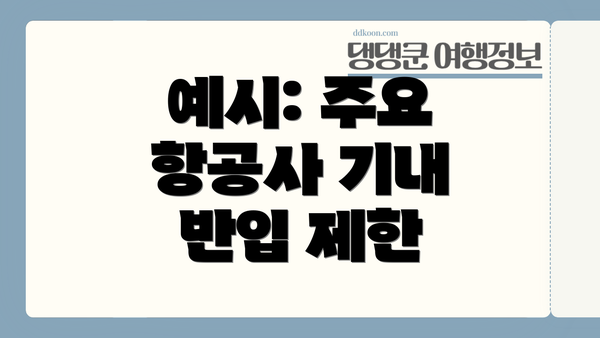 예시: 주요 항공사 기내 반입 제한